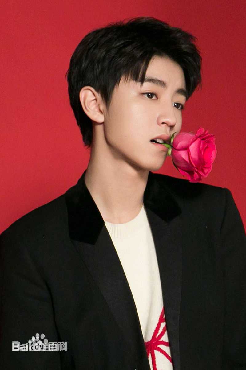 王俊凯(Karry)个人代言品牌合辑图片图集