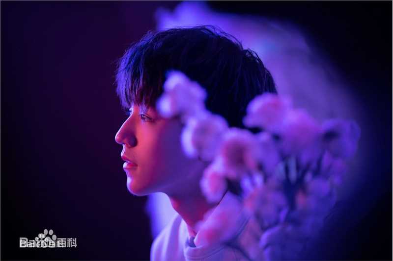 王俊凯(Karry)个人代言品牌合辑图片图集