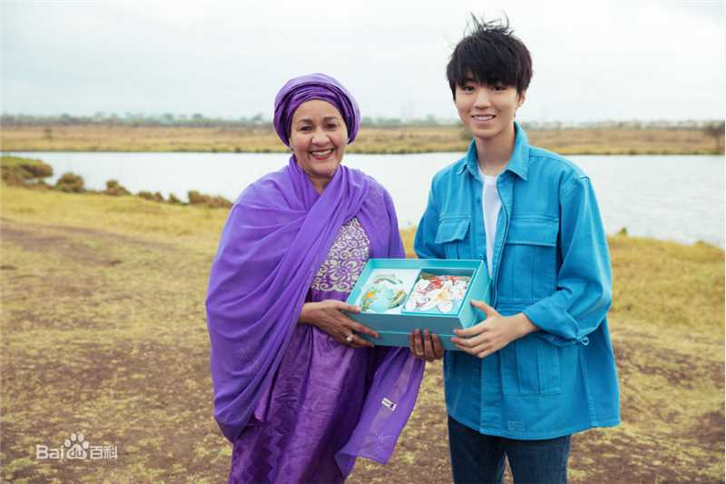 王俊凯(Karry)第四届联合国环境大会图片图册