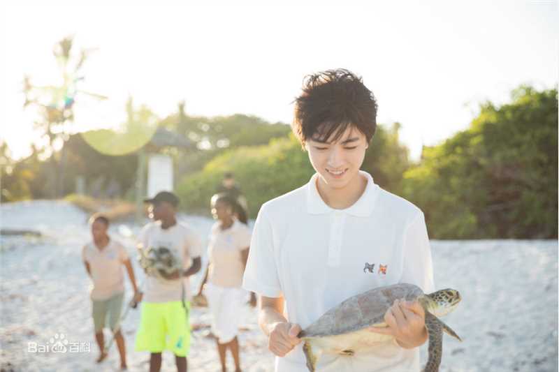 王俊凯(Karry)第四届联合国环境大会图片图册