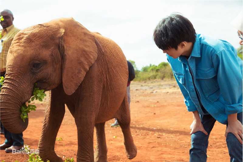 王俊凯(Karry)第四届联合国环境大会图片图册