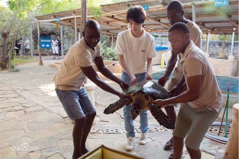 王俊凯(Karry)第四届联合国环境大会图片图册