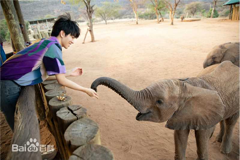 王俊凯(Karry)第四届联合国环境大会图片图册