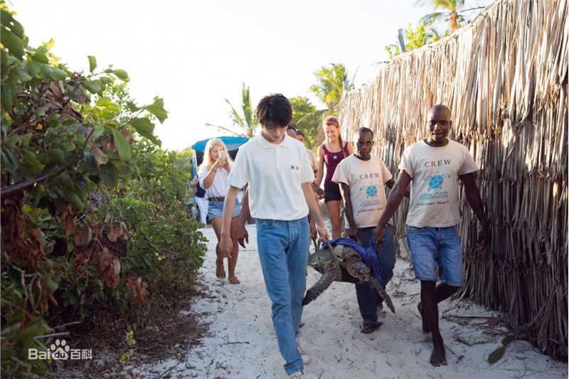 王俊凯(Karry)第四届联合国环境大会图片图册