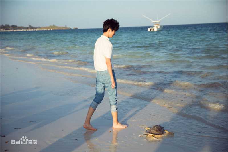 王俊凯(Karry)第四届联合国环境大会图片图册