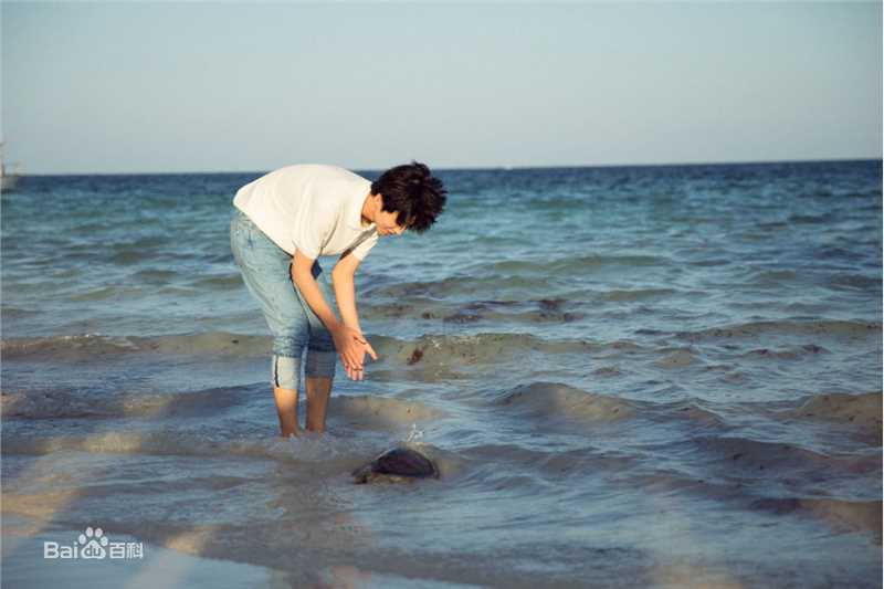 王俊凯(Karry)第四届联合国环境大会图片图册