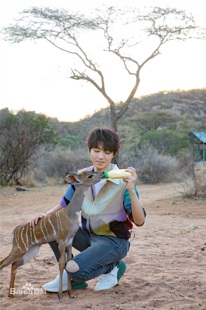 王俊凯(Karry)第四届联合国环境大会图片图册