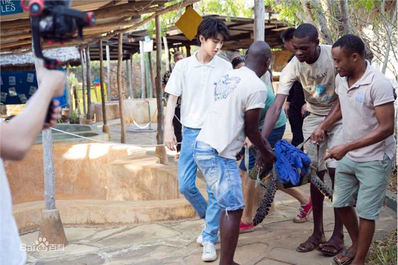 王俊凯(Karry)第四届联合国环境大会图片图册