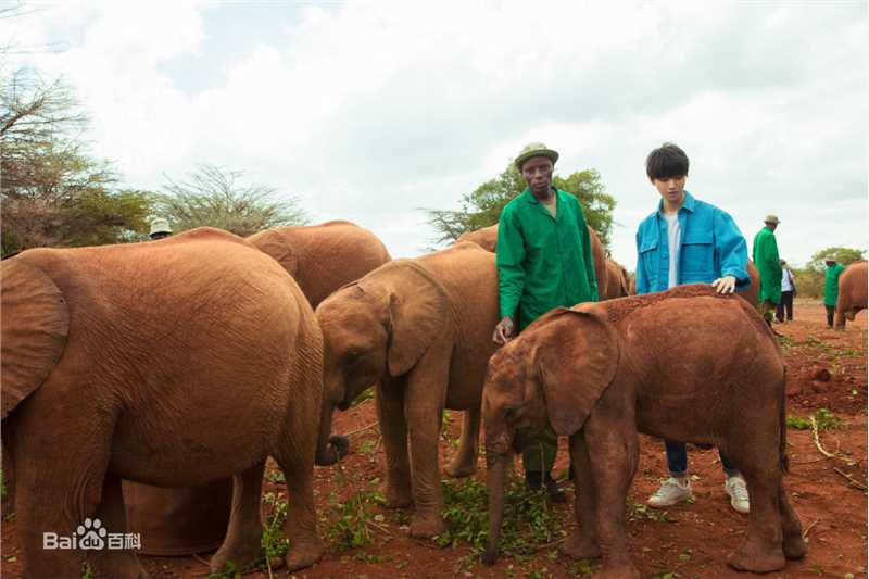 王俊凯(Karry)第四届联合国环境大会图片图册