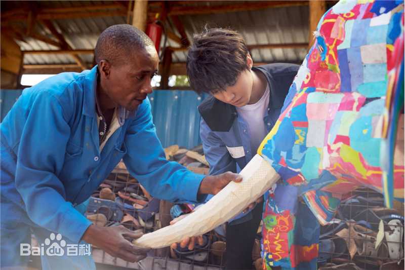 王俊凯(Karry)第四届联合国环境大会图片图册