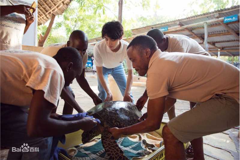 王俊凯(Karry)第四届联合国环境大会图片图册