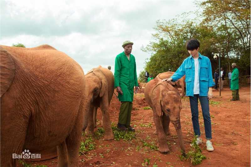 王俊凯(Karry)第四届联合国环境大会图片图册