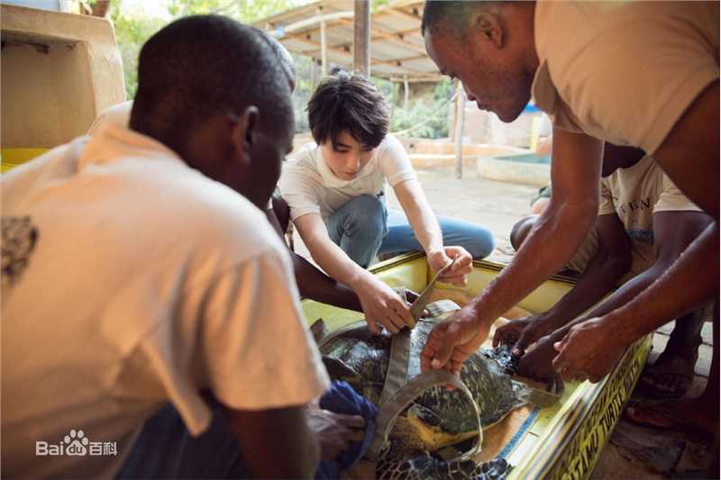 王俊凯(Karry)第四届联合国环境大会图片图册