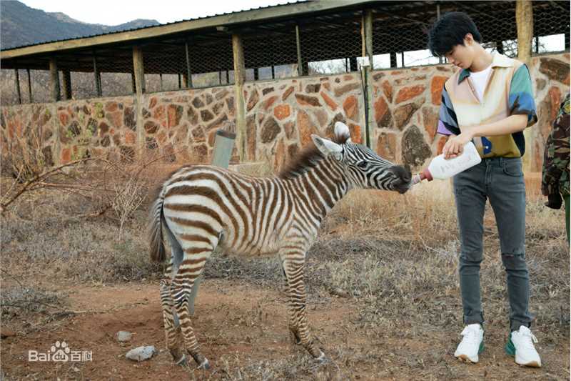 王俊凯(Karry)第四届联合国环境大会图片图册