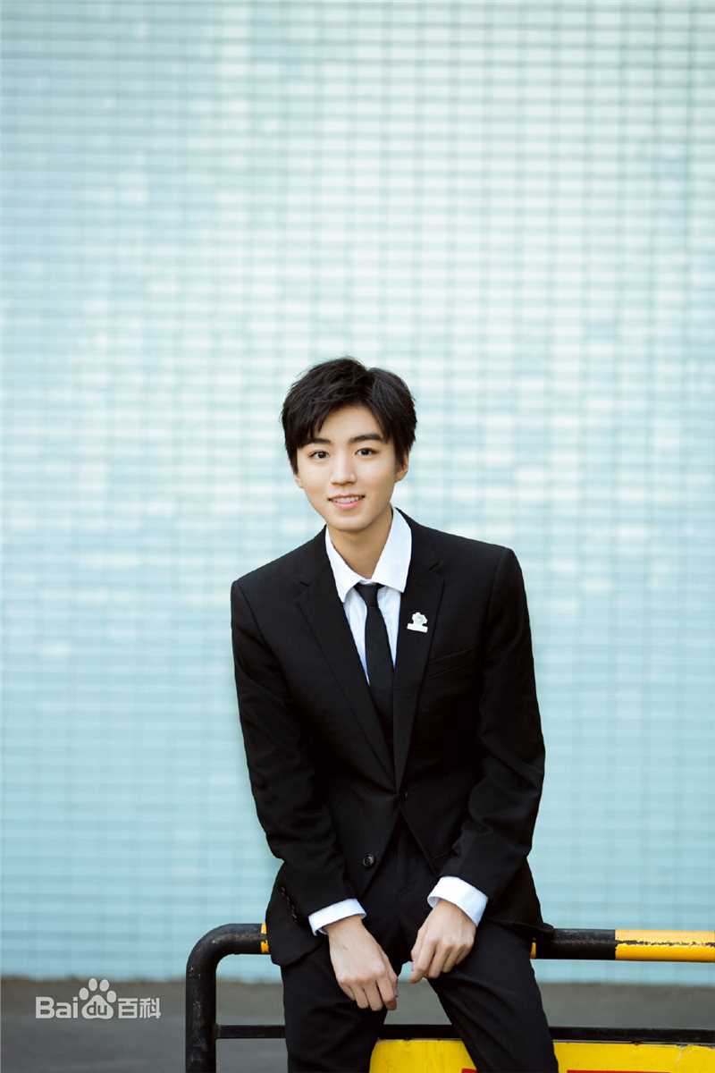 王俊凯(Karry)2019APEC未来之声青年创新论坛壁纸壁纸