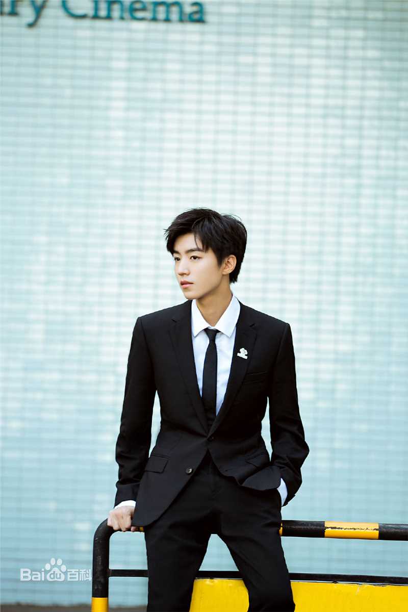 王俊凯(Karry)2019APEC未来之声青年创新论坛壁纸壁纸