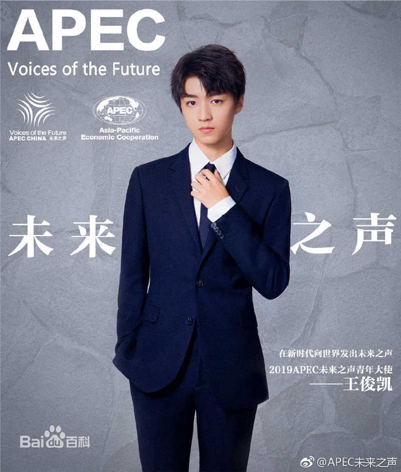 王俊凯(Karry)2019APEC未来之声青年创新论坛壁纸壁纸
