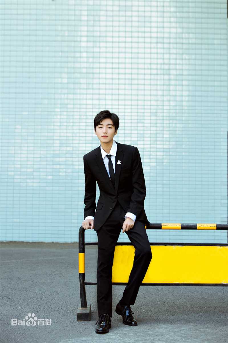 王俊凯(Karry)2019APEC未来之声青年创新论坛壁纸壁纸