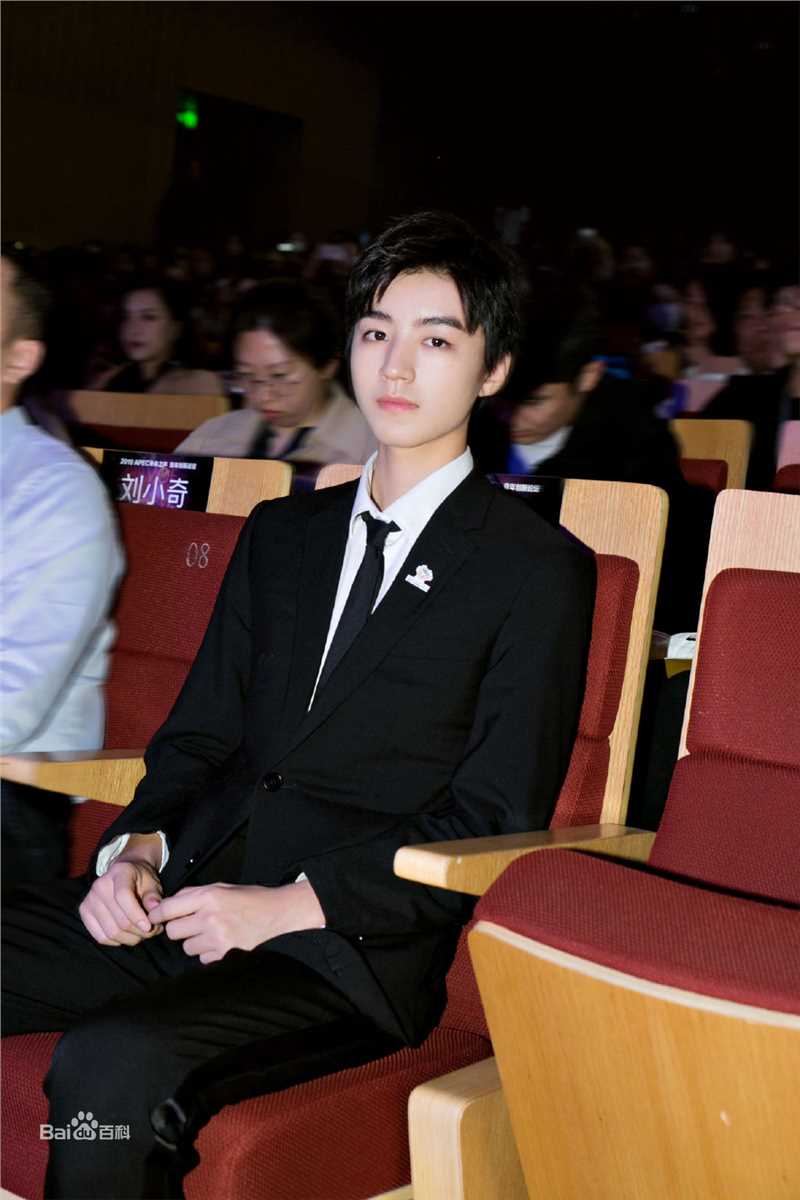 王俊凯(Karry)2019APEC未来之声青年创新论坛壁纸壁纸