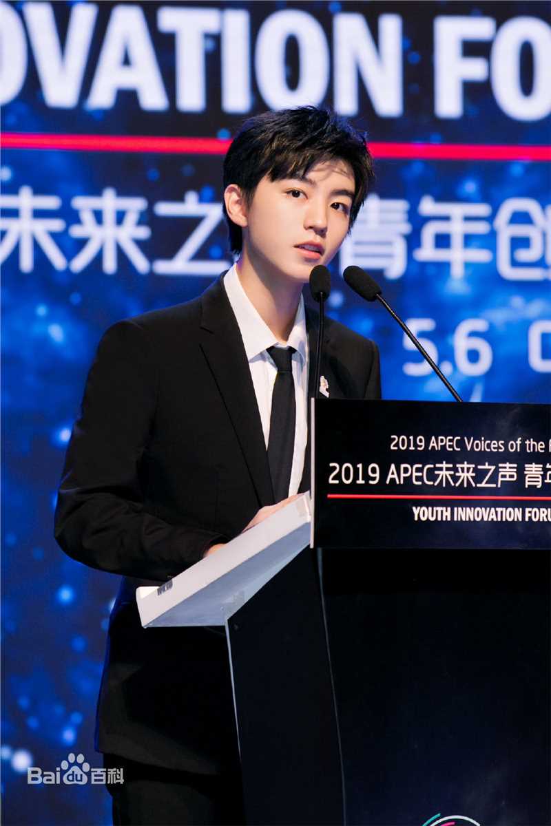 王俊凯(Karry)2019APEC未来之声青年创新论坛壁纸壁纸