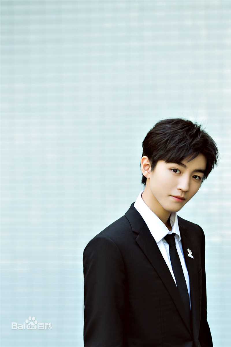 王俊凯(Karry)2019APEC未来之声青年创新论坛壁纸壁纸