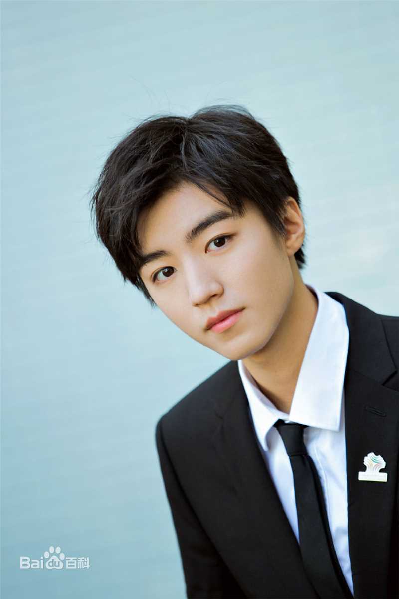 王俊凯(Karry)2019APEC未来之声青年创新论坛壁纸壁纸