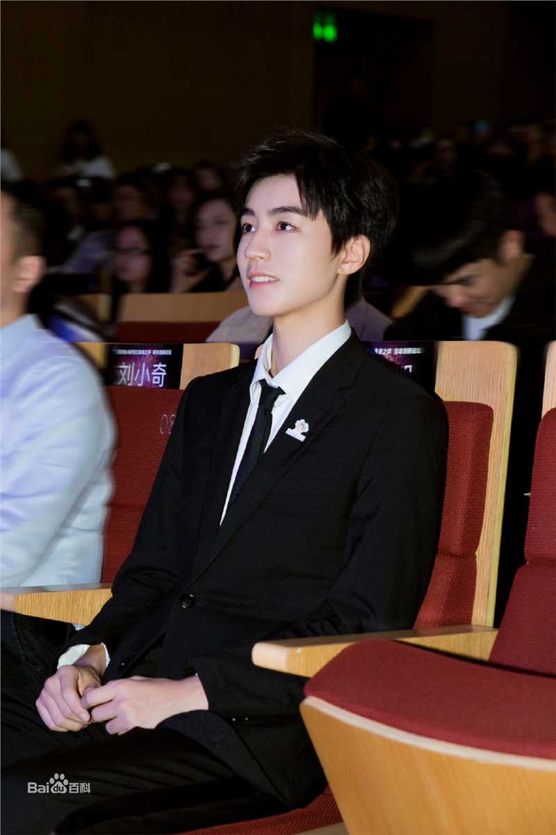 王俊凯(Karry)2019APEC未来之声青年创新论坛壁纸壁纸