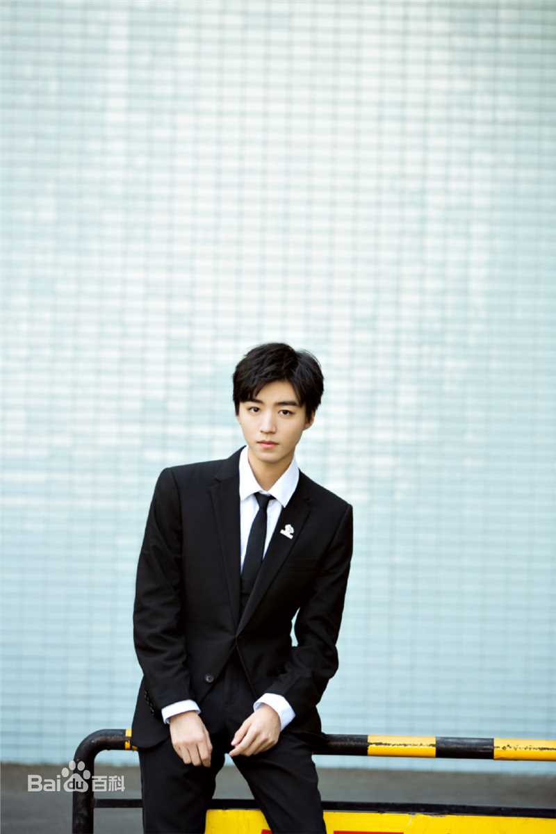 王俊凯(Karry)2019APEC未来之声青年创新论坛壁纸壁纸