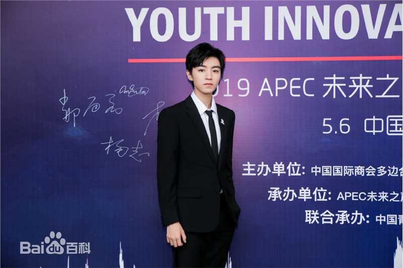 王俊凯(Karry)2019APEC未来之声青年创新论坛壁纸壁纸