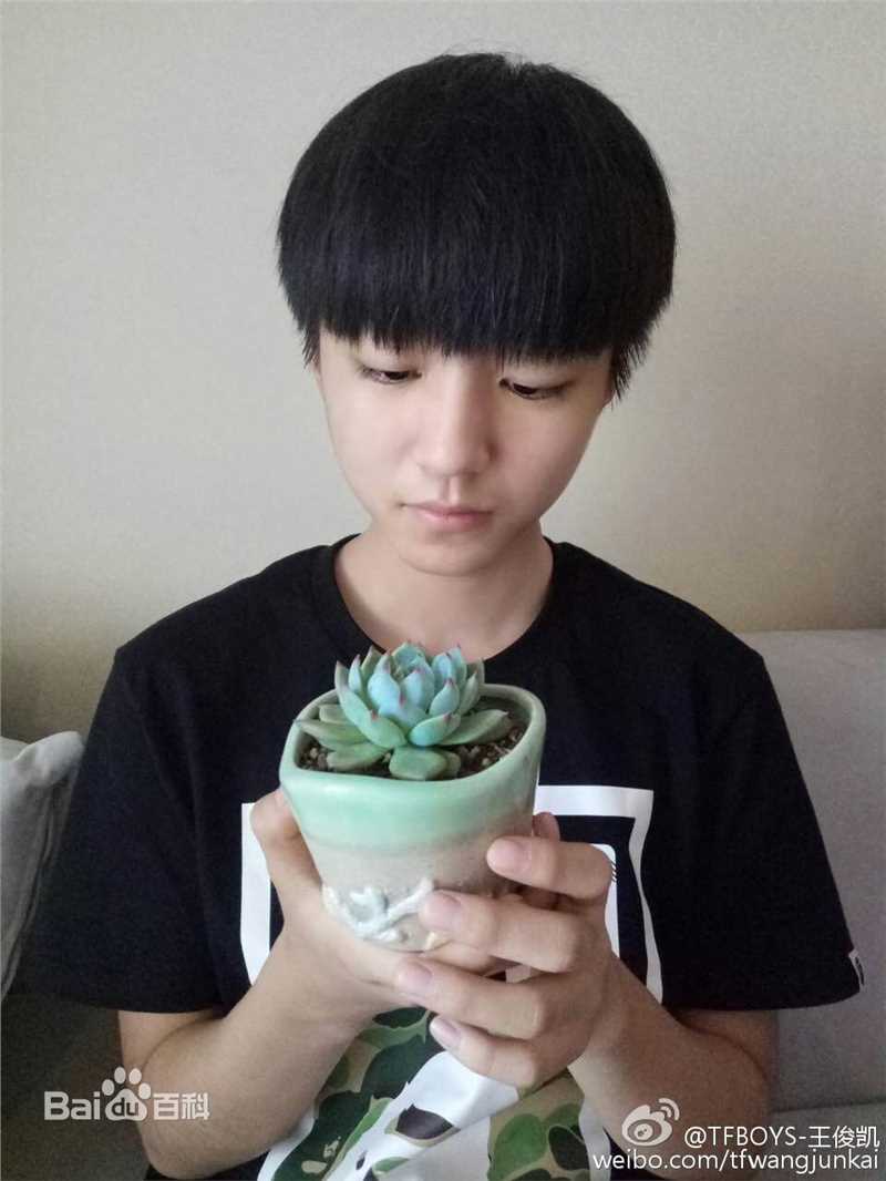 王俊凯(Karry)微博图册（三）图片图集