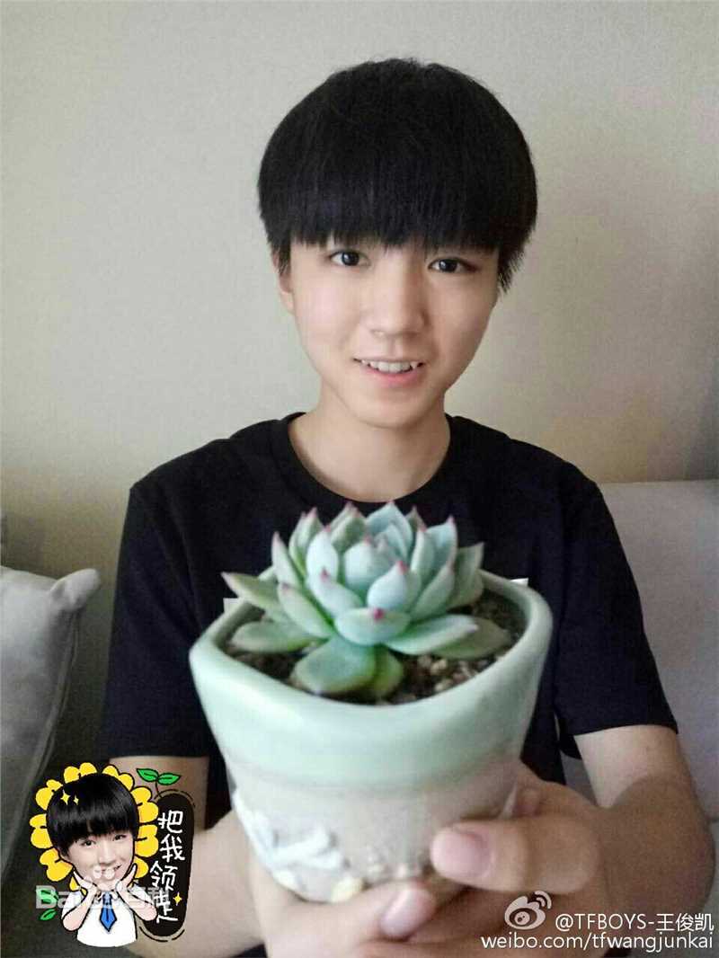 王俊凯(Karry)微博图册（三）图片图集