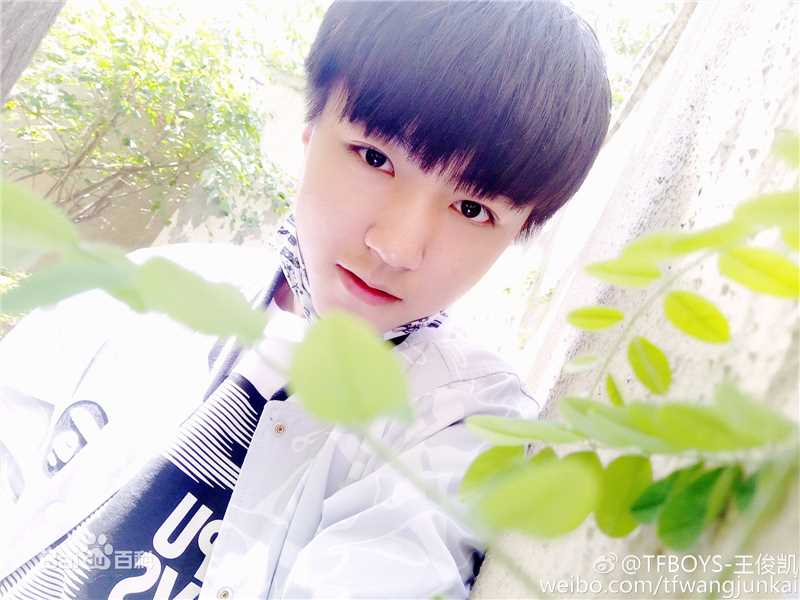 王俊凯(Karry)微博图册（三）图片图集