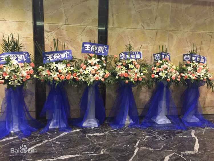 王俊凯(Karry)粉丝应援素颜照相册