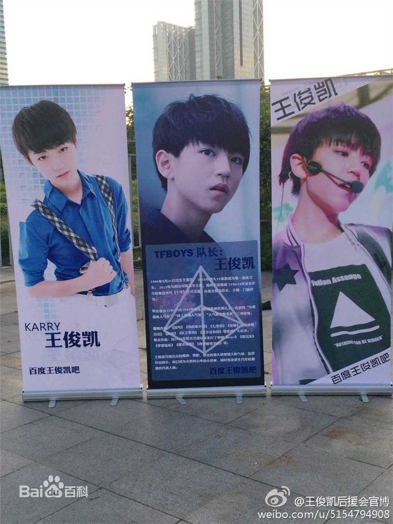 王俊凯(Karry)粉丝应援素颜照相册