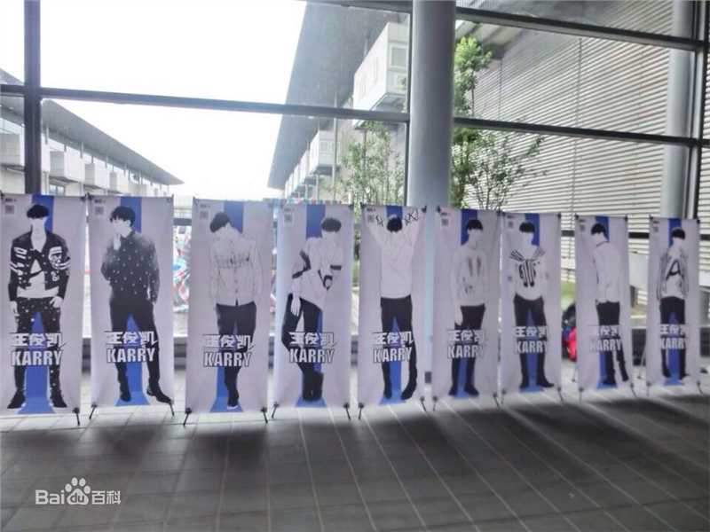 王俊凯(Karry)粉丝应援素颜照相册