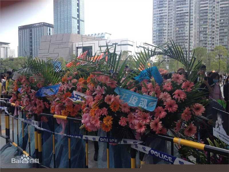 王俊凯(Karry)粉丝应援素颜照相册