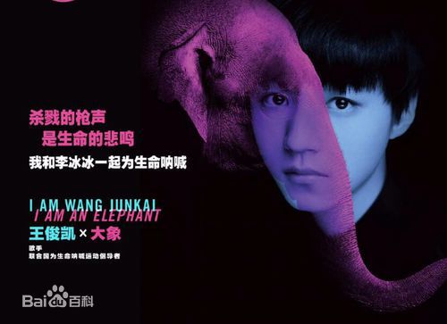 高清王俊凯(Karry)图片