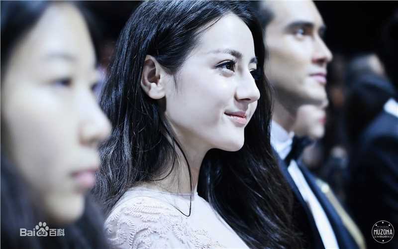 迪丽热巴·迪力木拉提(Dilraba)出席活动图册