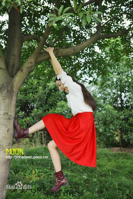 迪丽热巴·迪力木拉提(Dilraba)