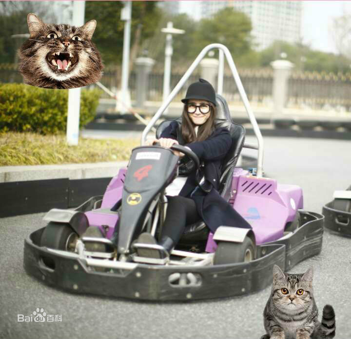 最新迪丽热巴·迪力木拉提(Dilraba)在《克拉恋人》中的壁纸