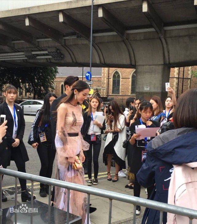 迪丽热巴·迪力木拉提(Dilraba)街拍图册