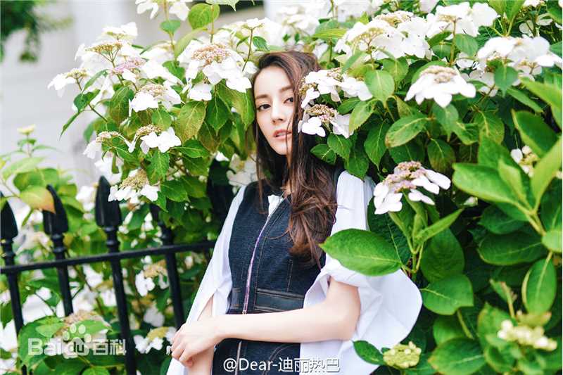 迪丽热巴·迪力木拉提(Dilraba)街拍图册