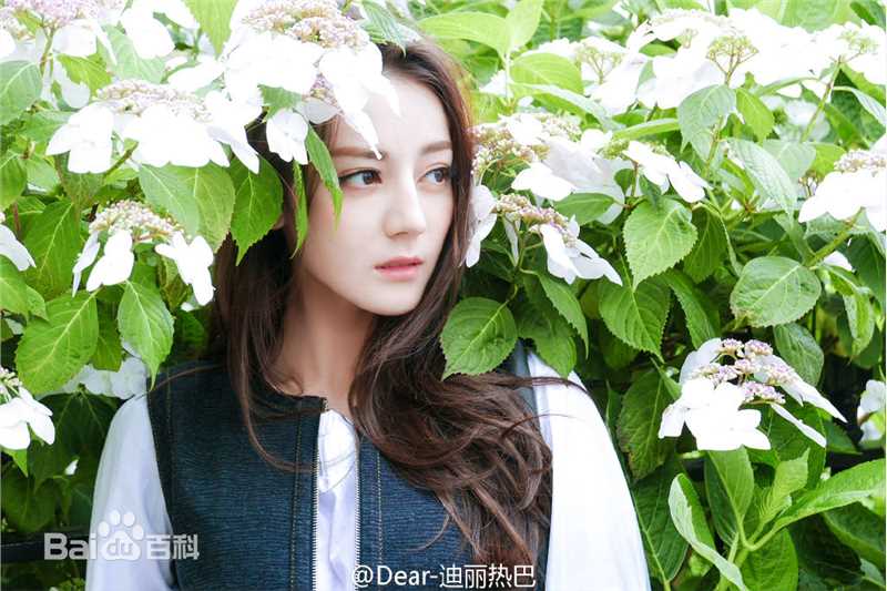 迪丽热巴·迪力木拉提(Dilraba)街拍图册