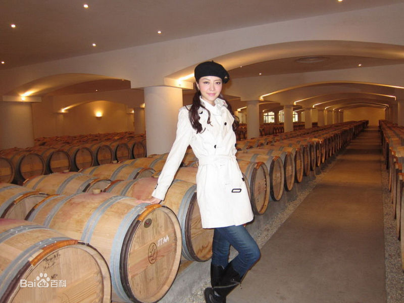 熊黛林(Lynn Hung)精彩图册