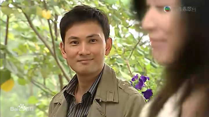 林文龙(Frankie Lam)影视形象图片图册