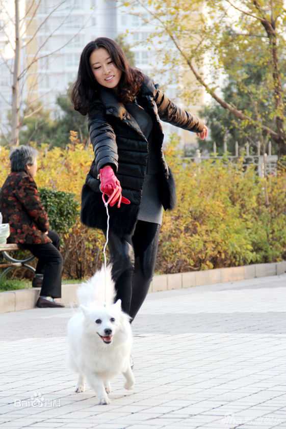 高清毛俊杰(Mao Jun Jie)精彩图册