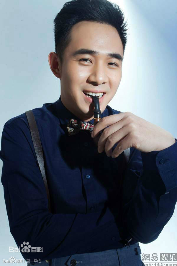 贾一平最全集相册