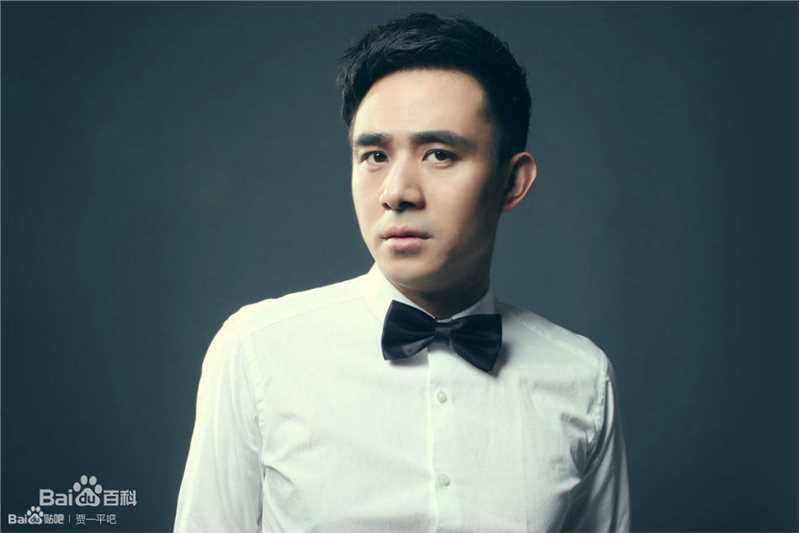 贾一平最全集相册