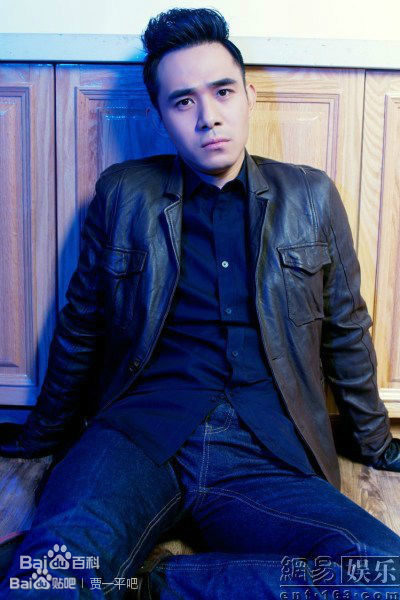 贾一平最全集相册