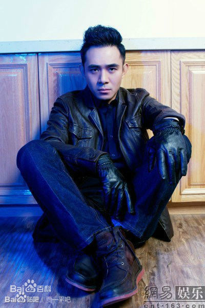 贾一平最全集相册